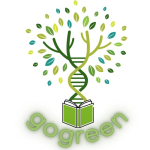 Go Green! Transdisciplinary Approaches to Teaching Environmental Sustainability at School
